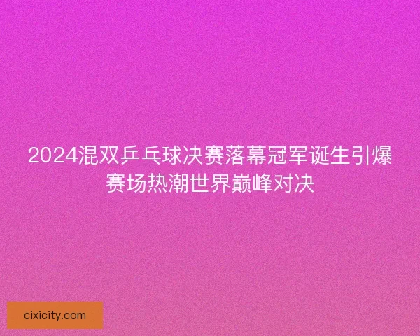 2024混双乒乓球决赛落幕冠军诞生引爆赛场热潮世界巅峰对决